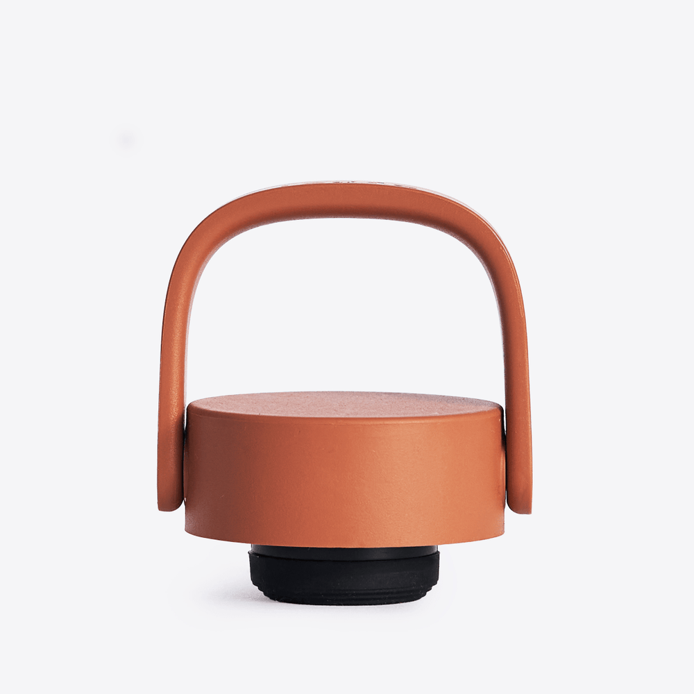 Beast Carry Cap | #color_terra